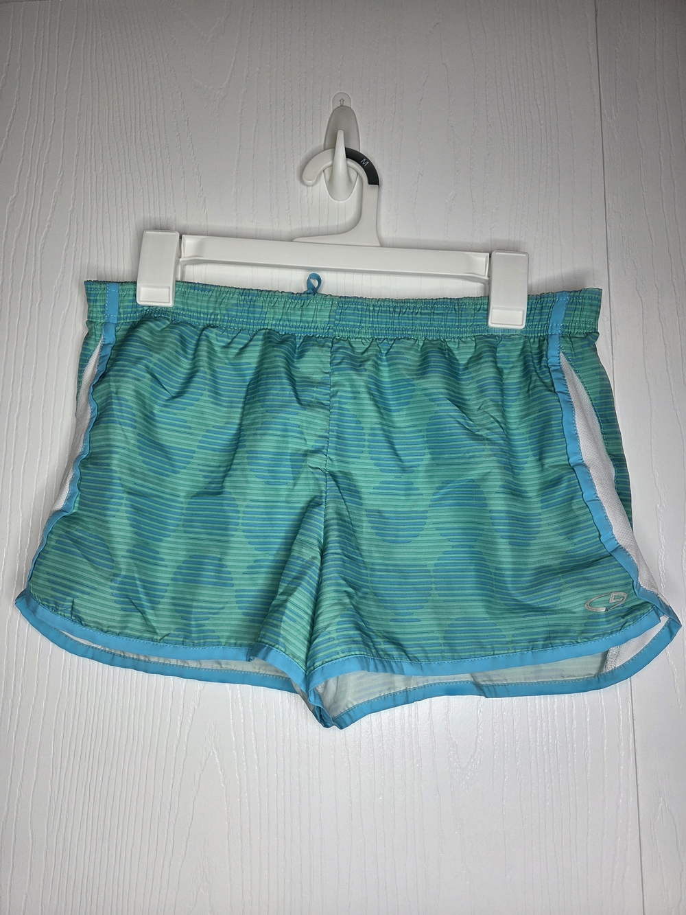 Champion Teal & Aqua Patchwork Stripe Athletic Shorts-XL